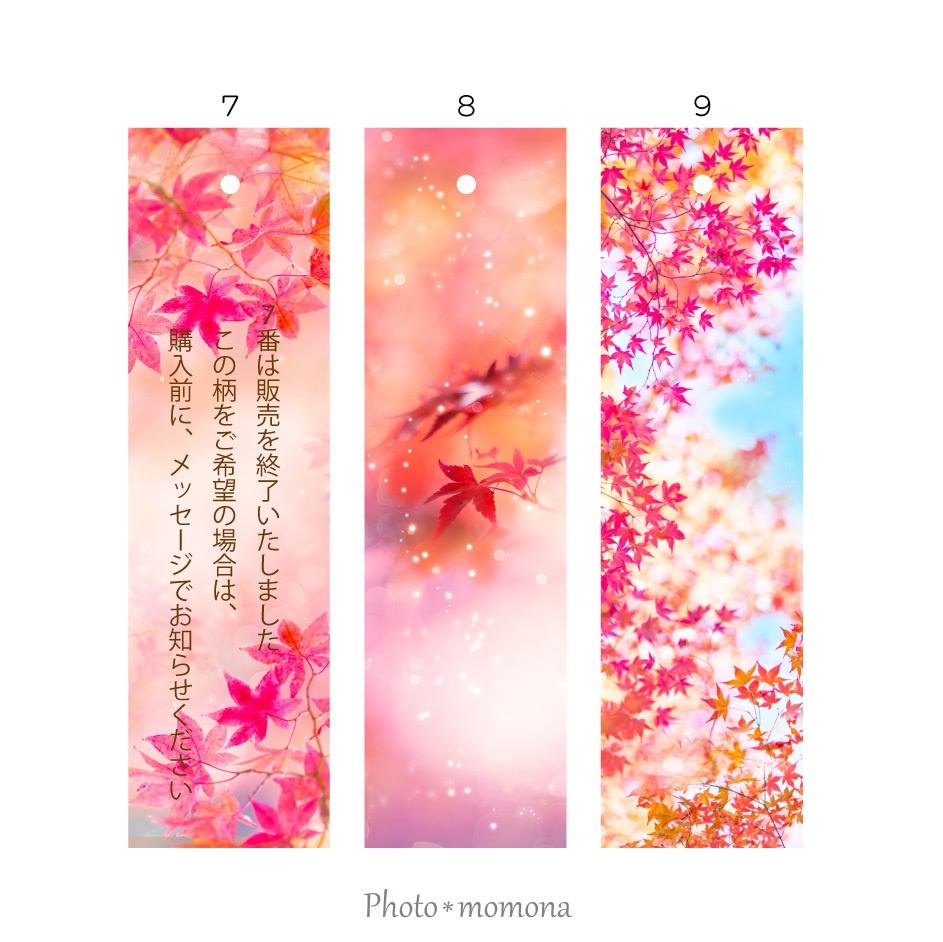 秋の透明しおり3枚セット