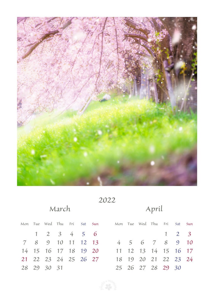 フラワーフォトカレンダー2022(2L版)