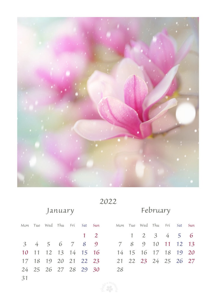 フラワーフォトカレンダー2022(2L版)