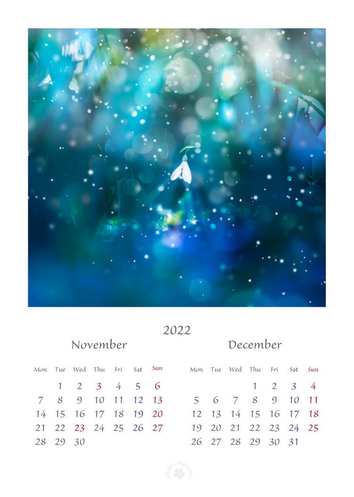 フラワーフォトカレンダー2022(2L版)