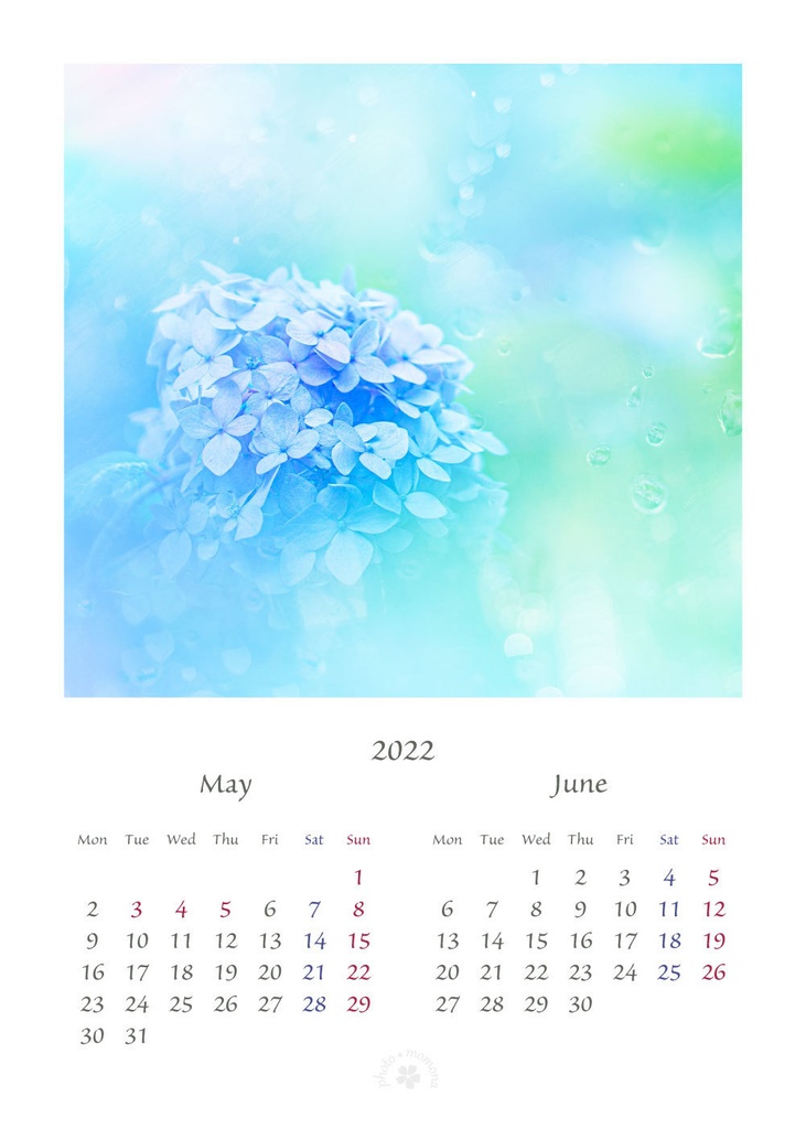 フラワーフォトカレンダー2022(2L版)