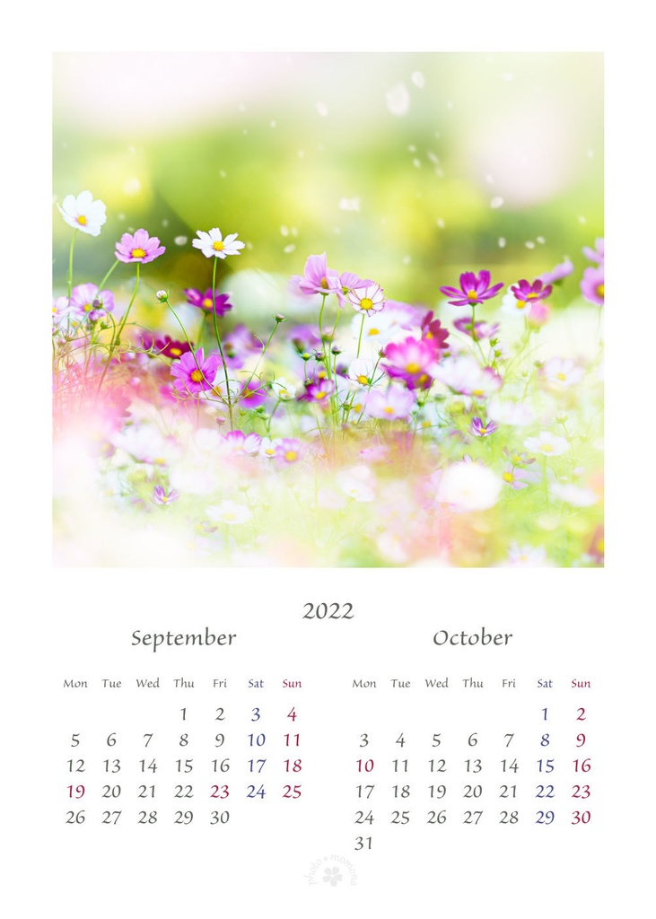 フラワーフォトカレンダー2022(2L版)