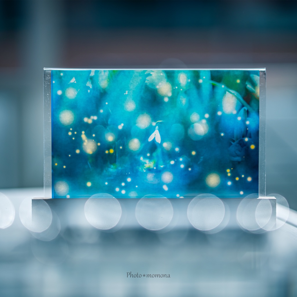 スノードロップの透明しおり