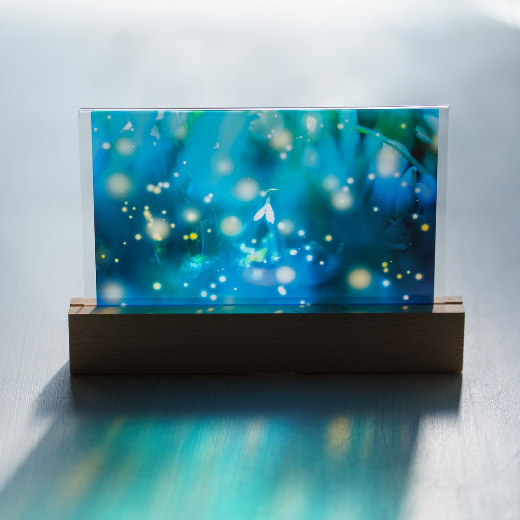 スノードロップの透明しおり