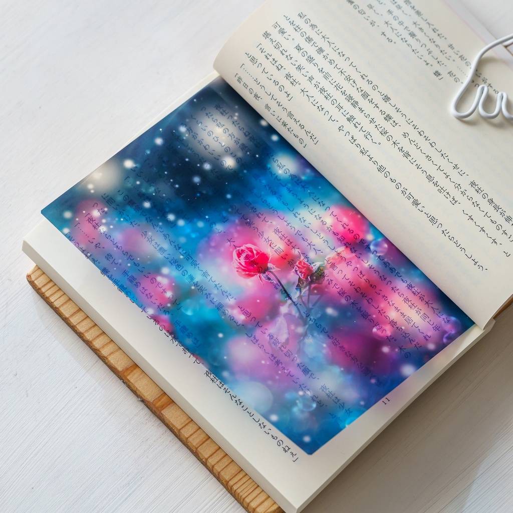 冬薔薇の透明しおり