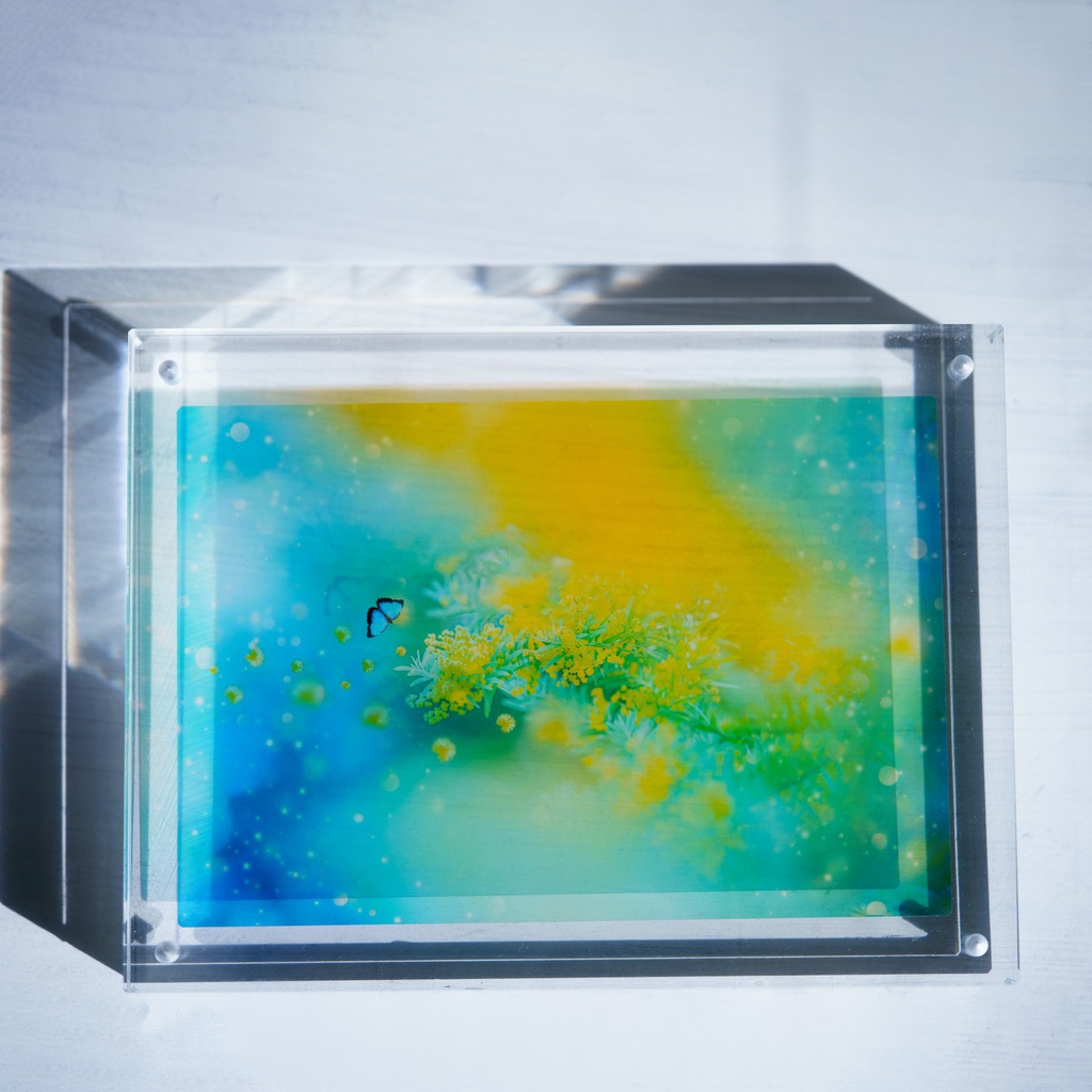 ミモザの透明しおり