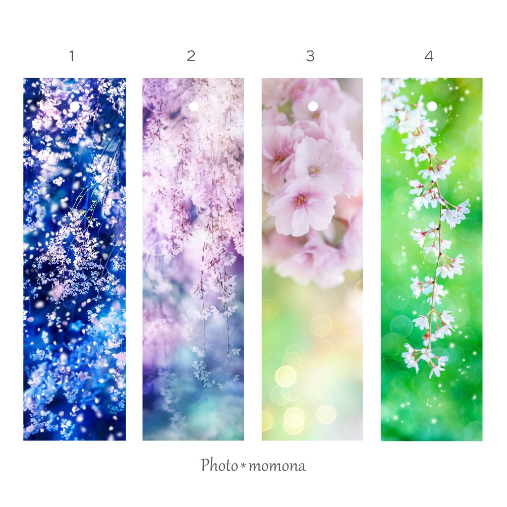 桜の透明しおり4枚セット