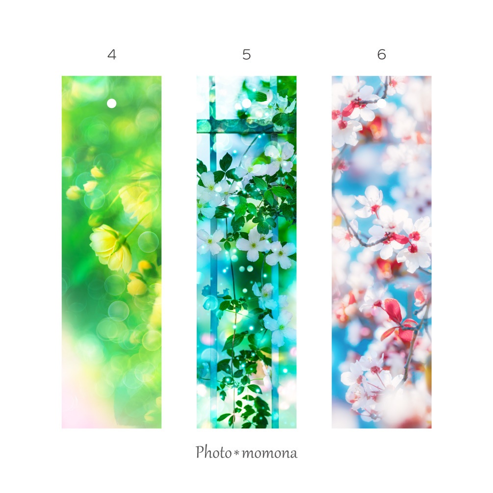 春の透明しおり2022・3枚セット