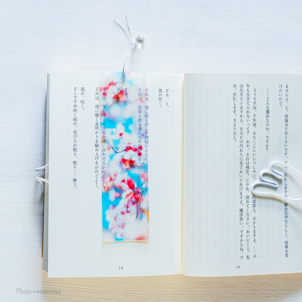 春の透明しおり2022・3枚セット