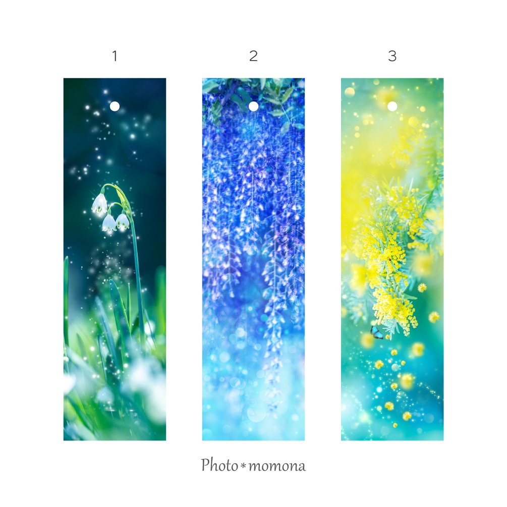 春の透明しおり2022・3枚セット