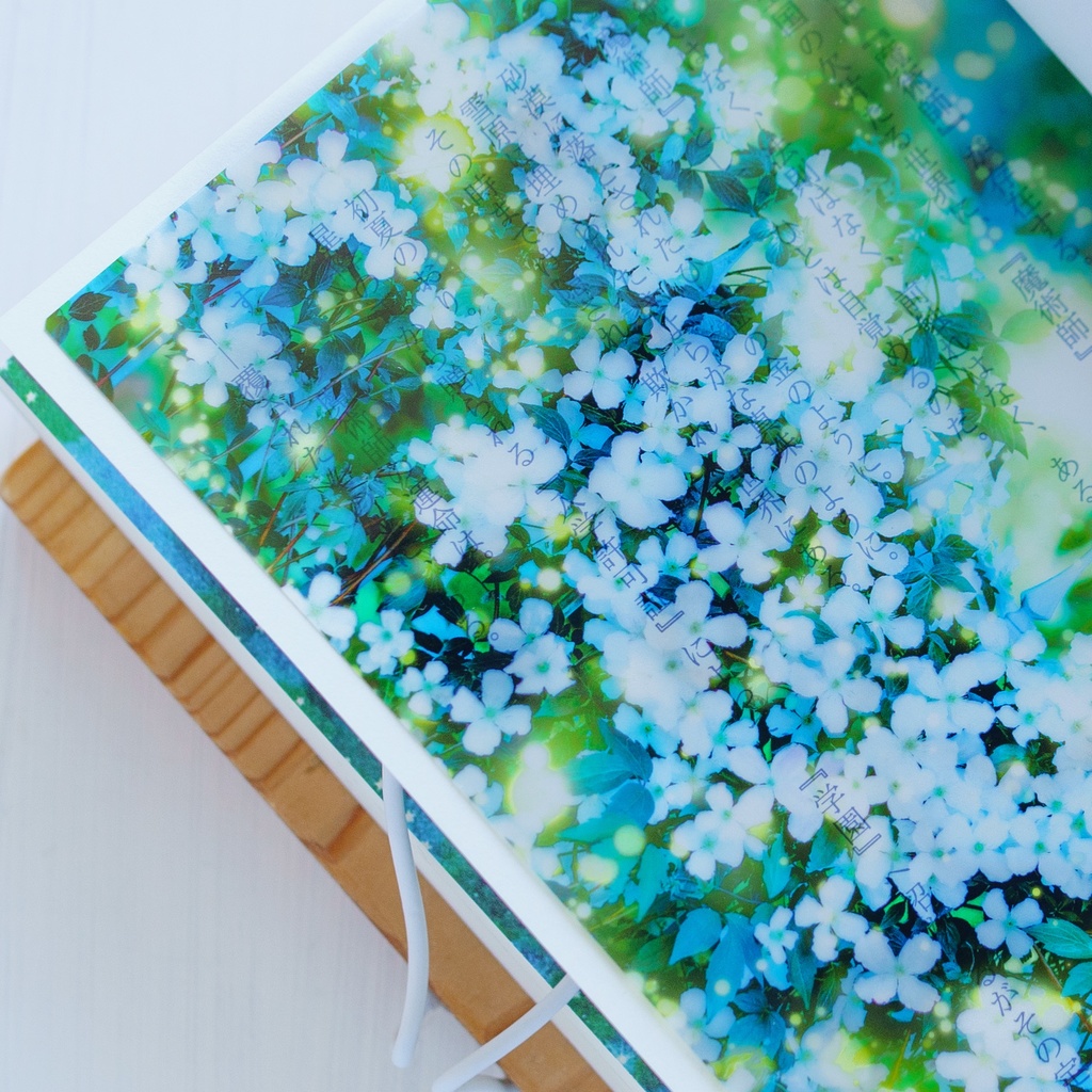 夜のクレマチスの透明しおり