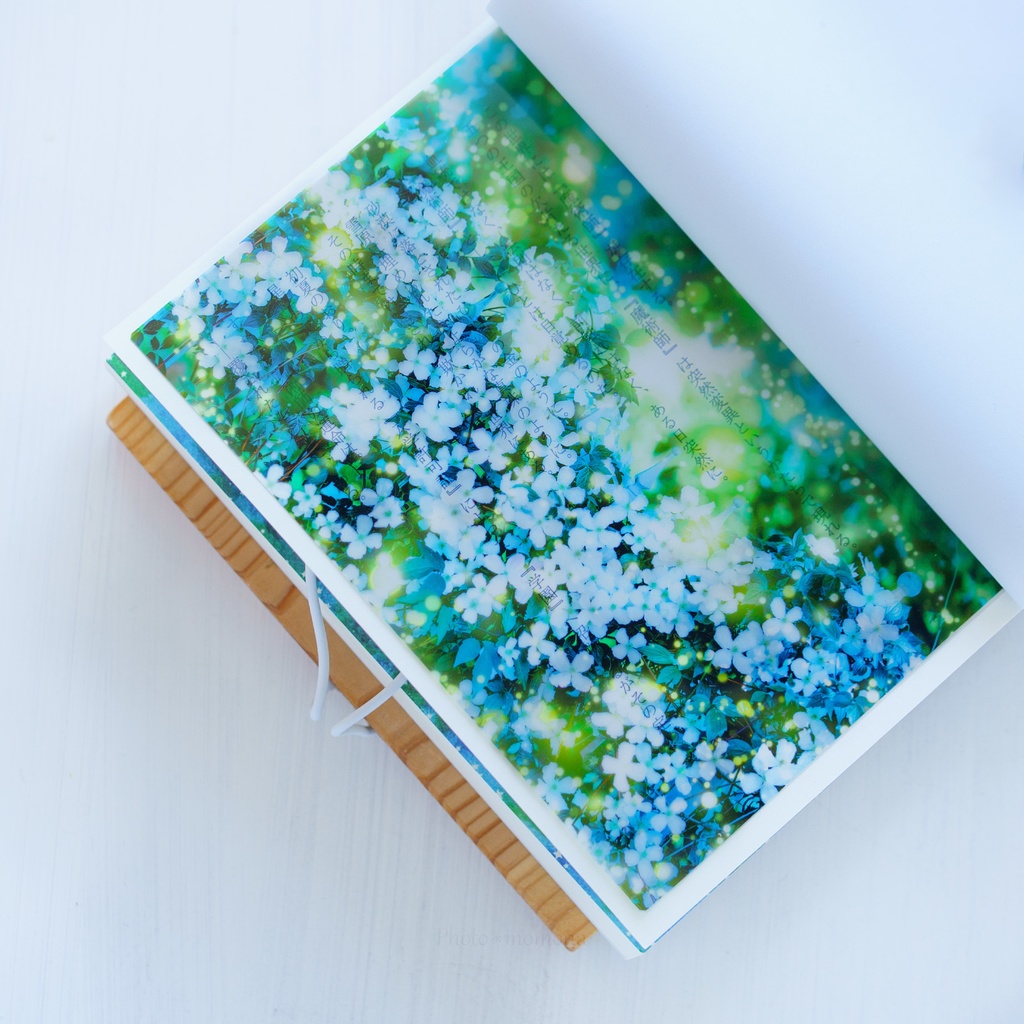 夜のクレマチスの透明しおり