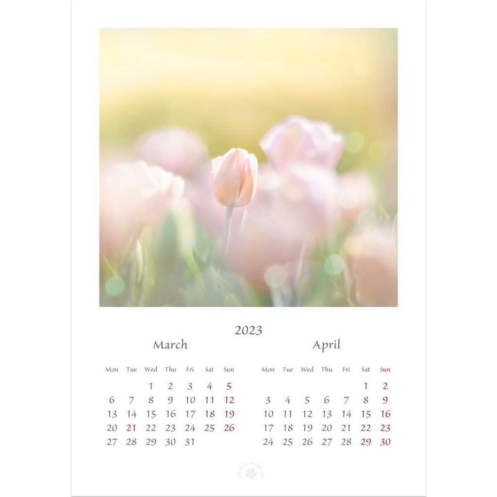 フラワーフォトカレンダー2023(2L版)