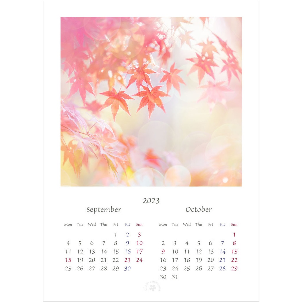 フラワーフォトカレンダー2023(2L版)