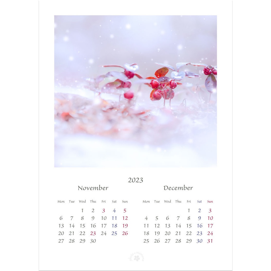 フラワーフォトカレンダー2023(2L版)