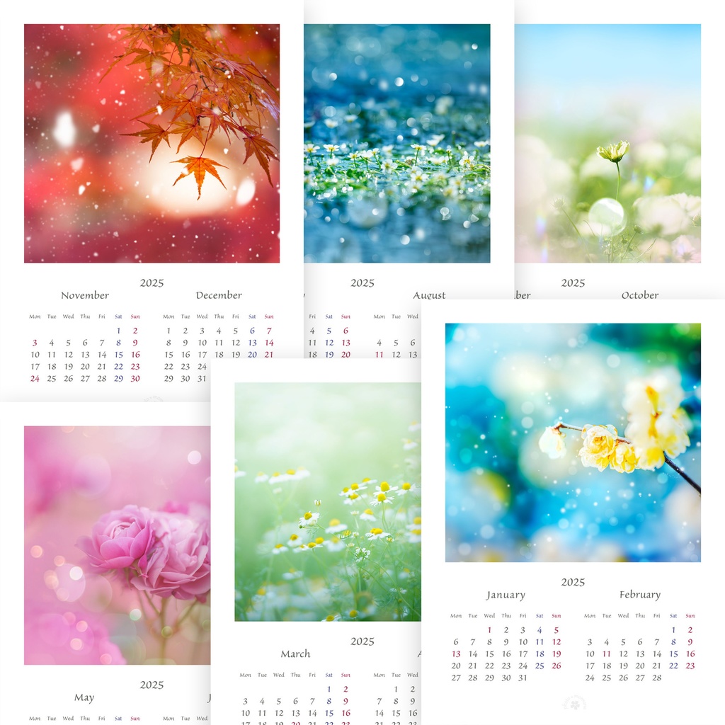 フラワーフォトカレンダー2025