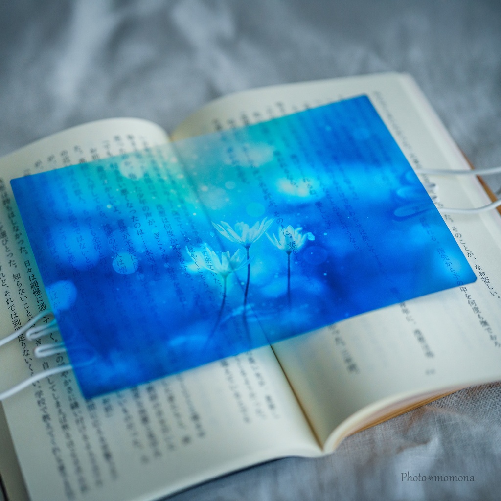 春待ちの雪割一華の透明しおり