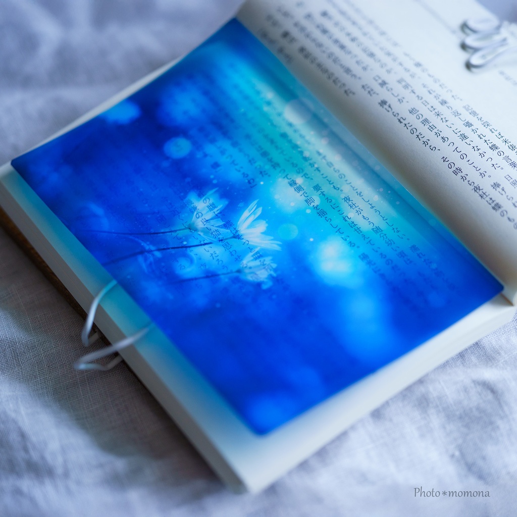 春待ちの雪割一華の透明しおり