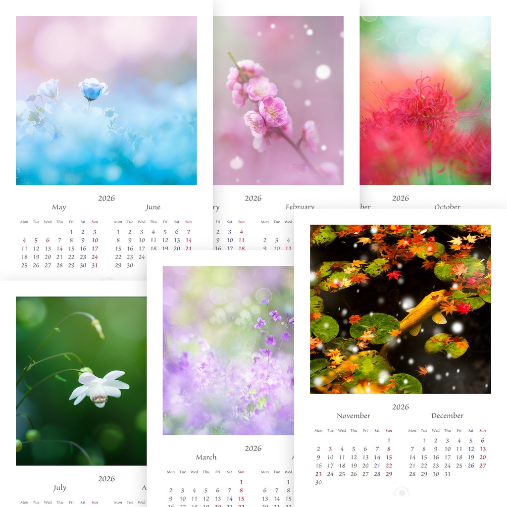 フラワーフォトカレンダー2026