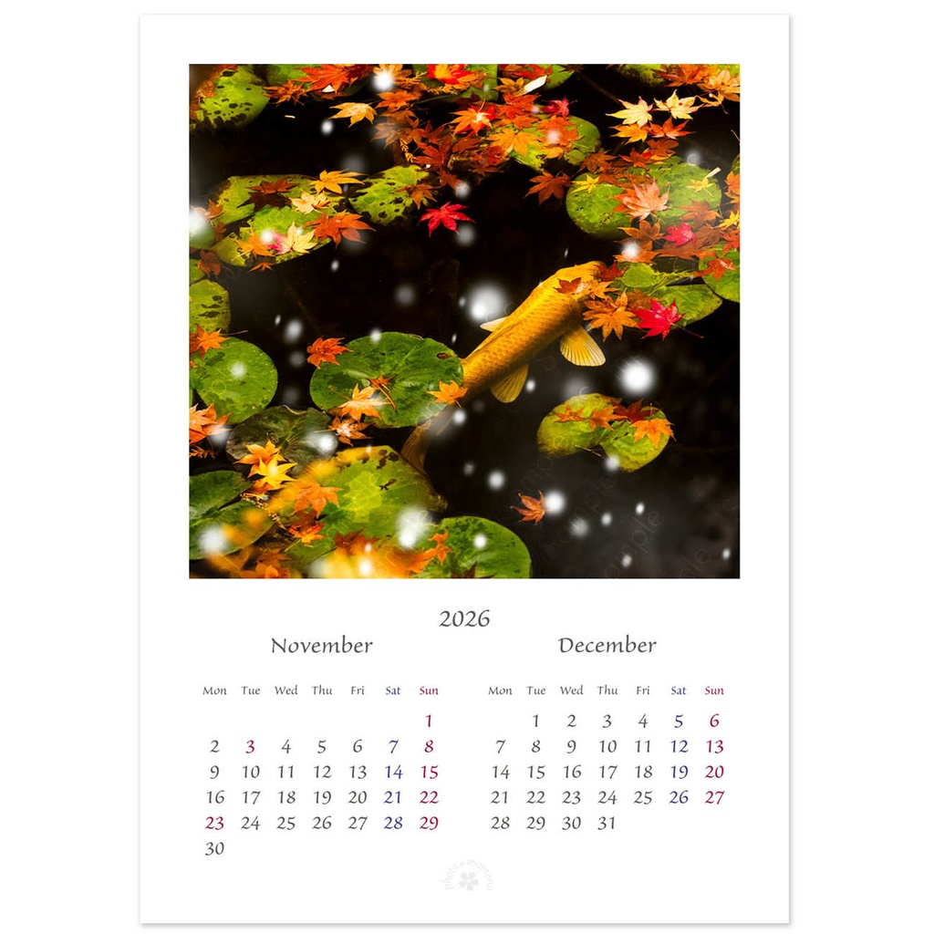 フラワーフォトカレンダー2026