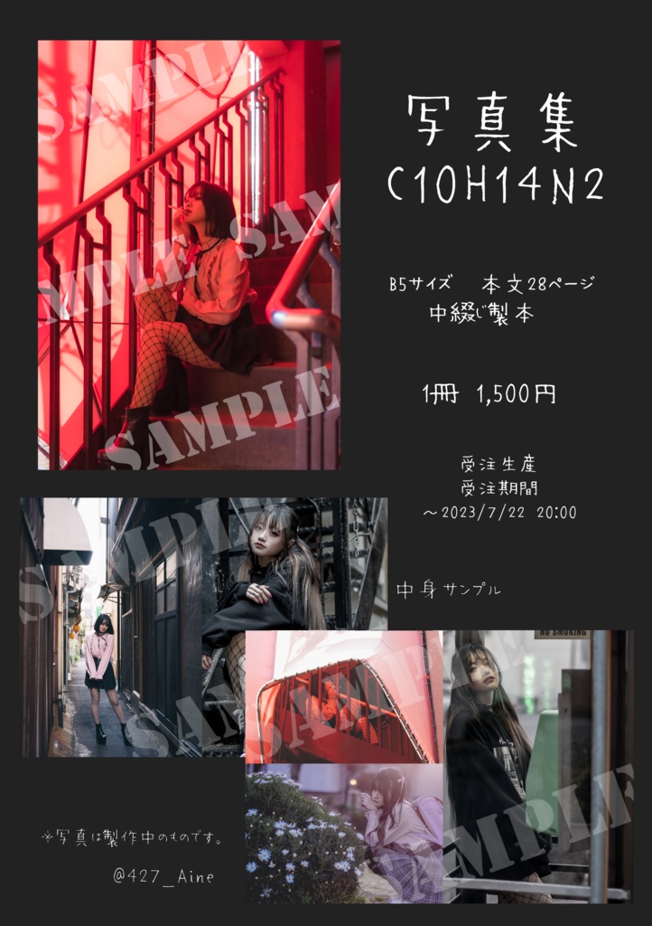 写真集　C19H14N2