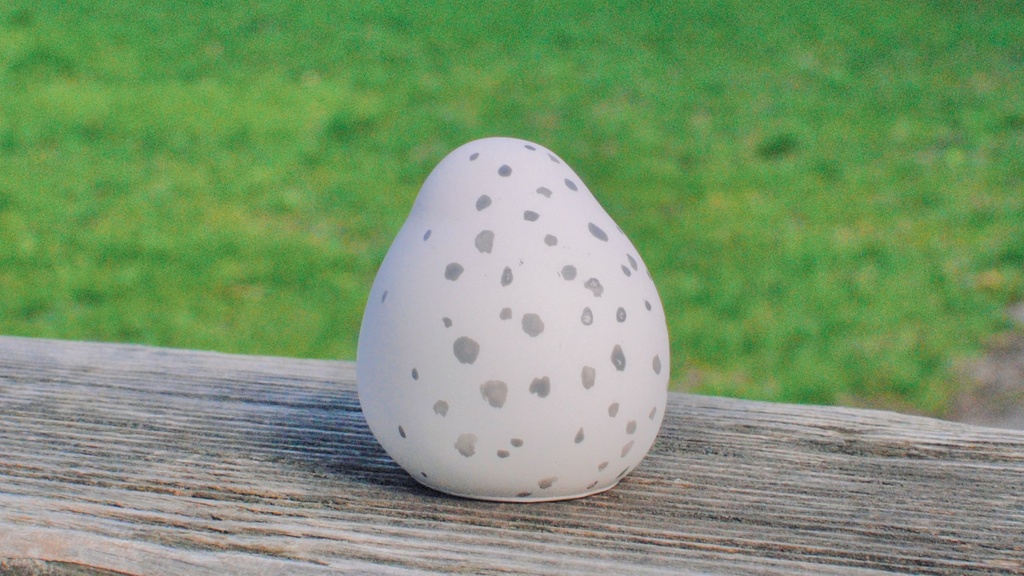 北海道の動物フィギュアシリーズ-5種コンプリートセット