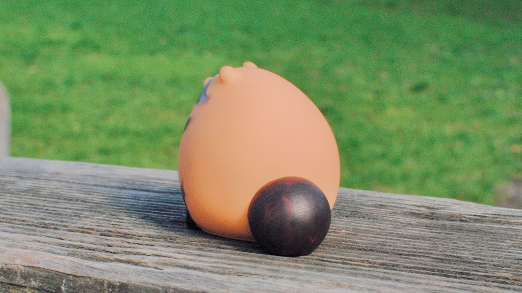 北海道の動物フィギュアシリーズ-5種コンプリートセット