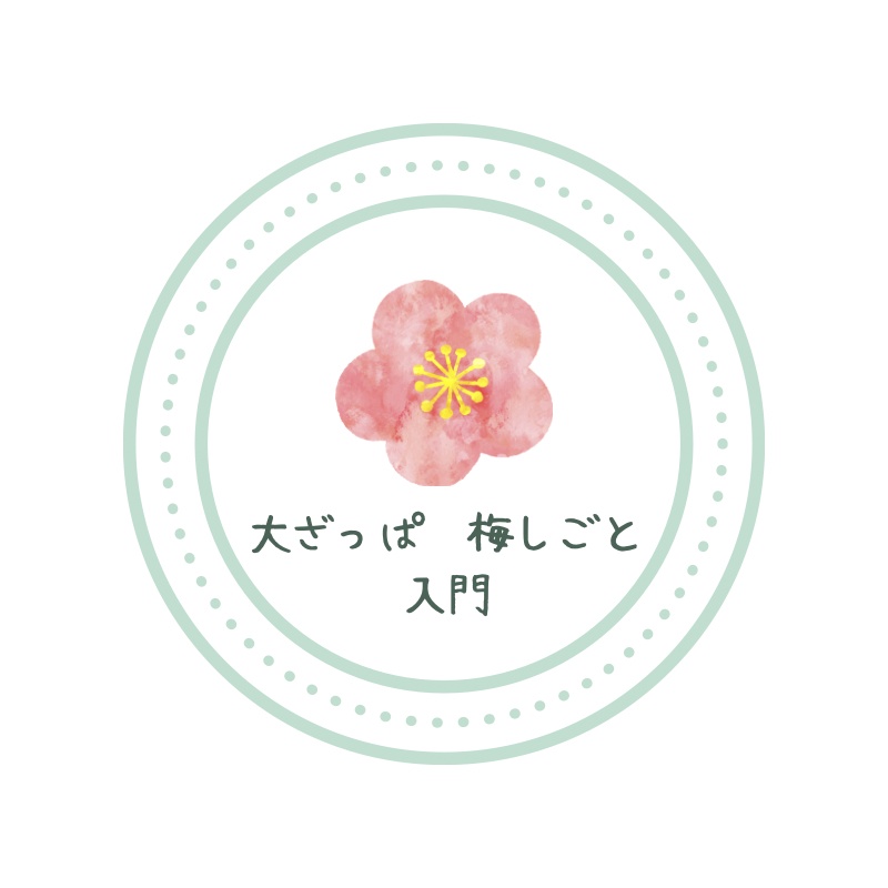 大ざっぱ 梅しごと入門｜やわ実用メモ（PDF）