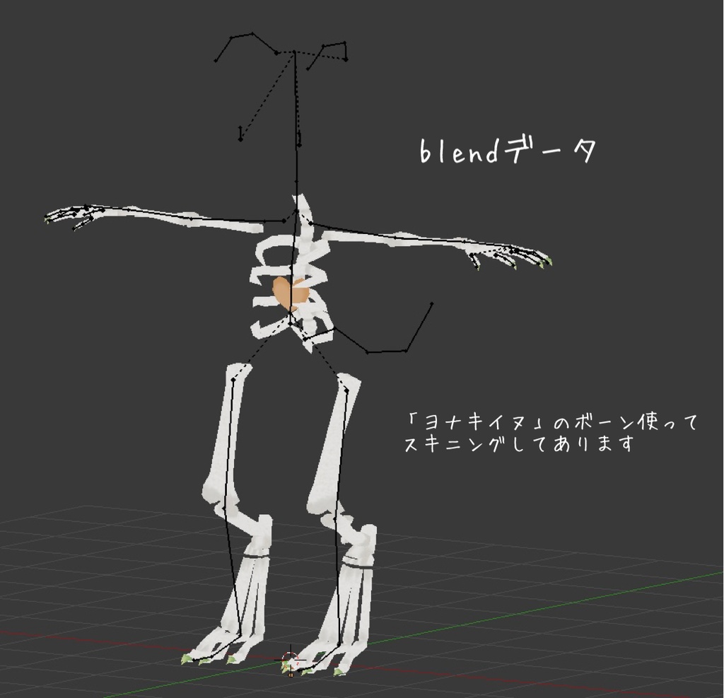 骨ボディ【3D素材】