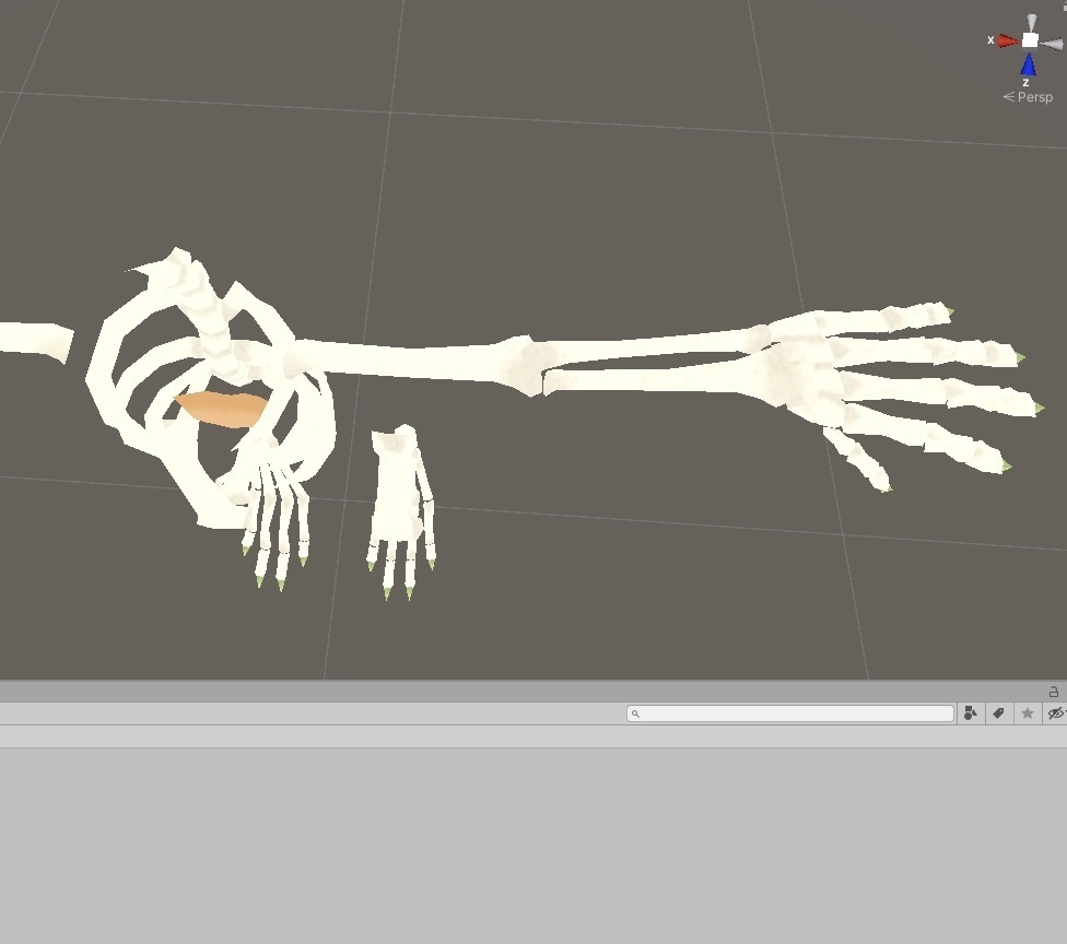 骨ボディ【3D素材】