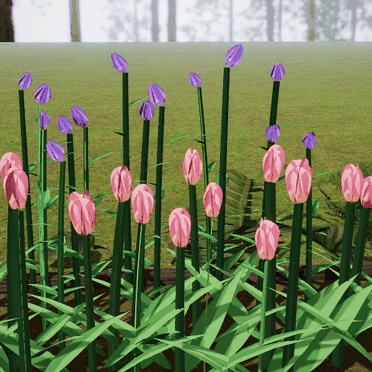 時間や明るさで咲いて閉じる「時咲きの花」 VRChat ワールド用【PC/Quest】