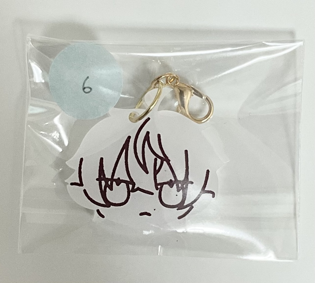 放出品(全て非公式)