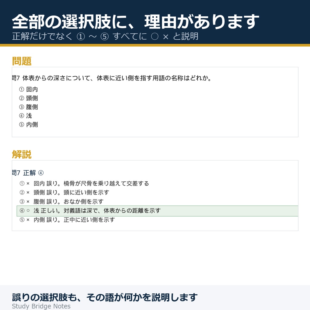 解剖学・解剖生理学 問題集 全18冊パック|テスト対策用マーク式・18冊セット・10,780問・全選択肢に理由つき解説|PDF+演習アプリ
