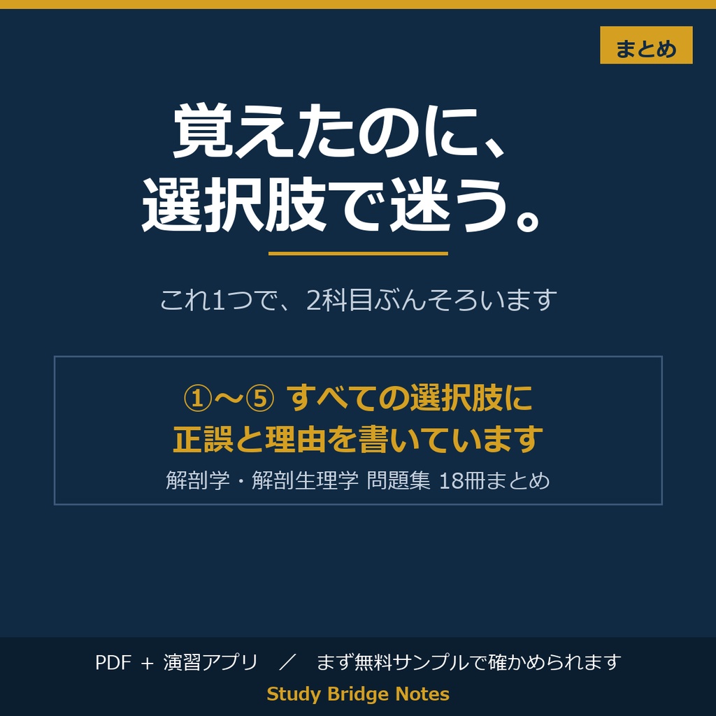 解剖学・解剖生理学 問題集 全18冊パック|テスト対策用マーク式・18冊セット・10,780問・全選択肢に理由つき解説|PDF+演習アプリ