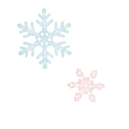 Dreamy Christmas Collection