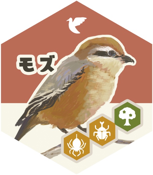 エコピラ-EcoPyra-(複数個購入)