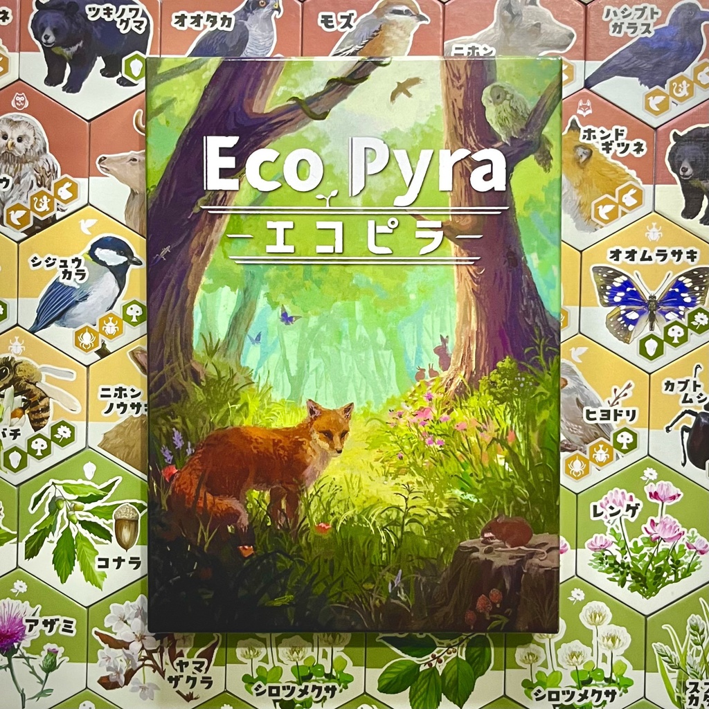 エコピラ-EcoPyra-(複数個購入)