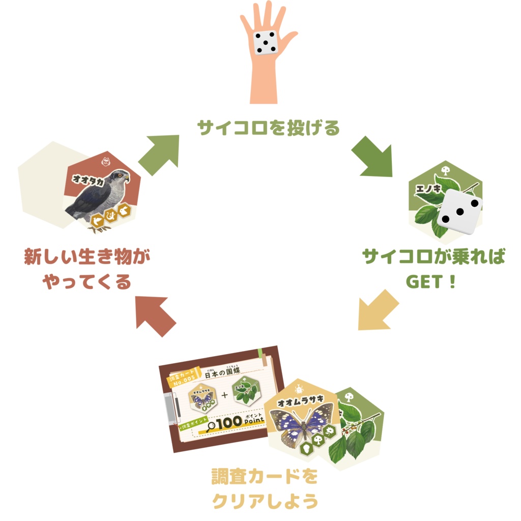 エコピラ-EcoPyra-(単品)