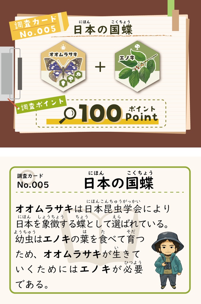 エコピラ-EcoPyra-(単品)