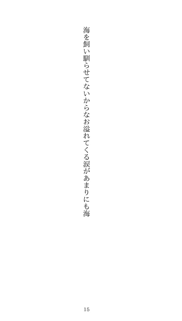 短歌集「めたもる」