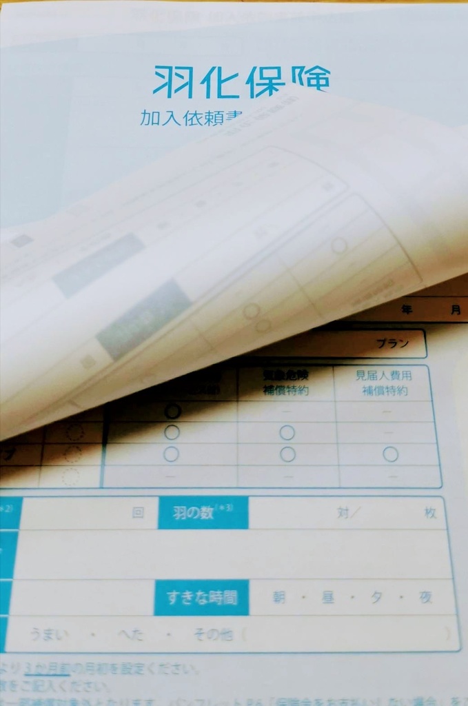 羽化保険 ご加入依頼書