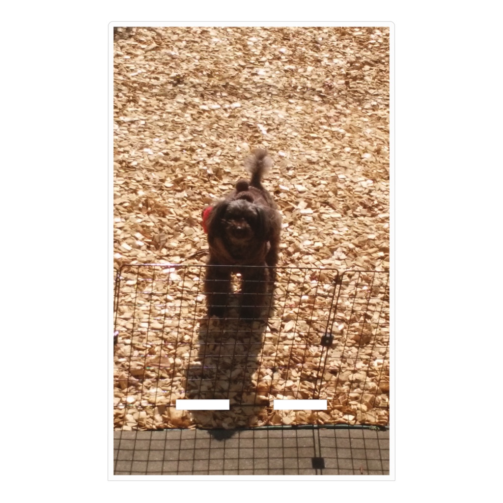 アクリルスマホスタンド 100×160mm