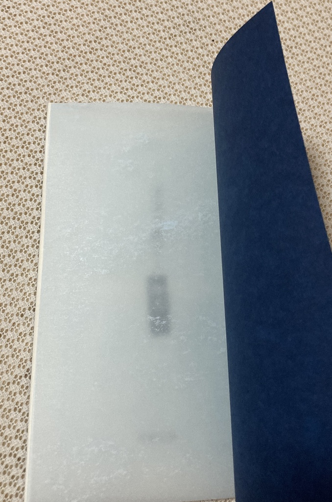 王太子殿下の「御友人」