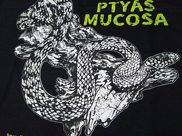 ナンダ先輩Tシャツ(S,M,L,XLサイズ)