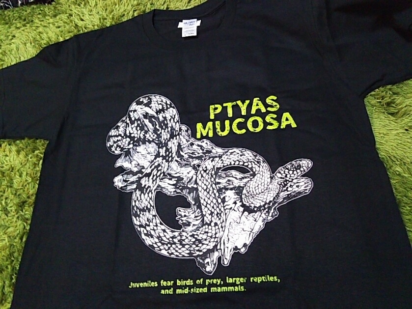 ナンダ先輩Tシャツ(S,M,L,XLサイズ)