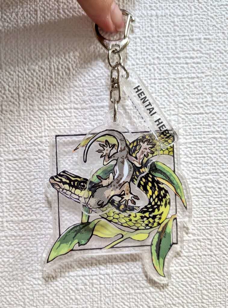 HENTAIHEBI_ゴールデントビヘビアクキー