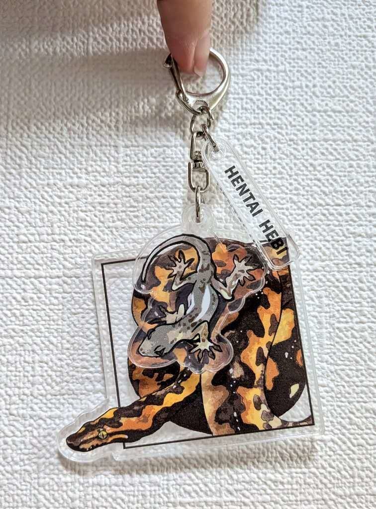 HENTAIHEBI_パルソニーアクキー