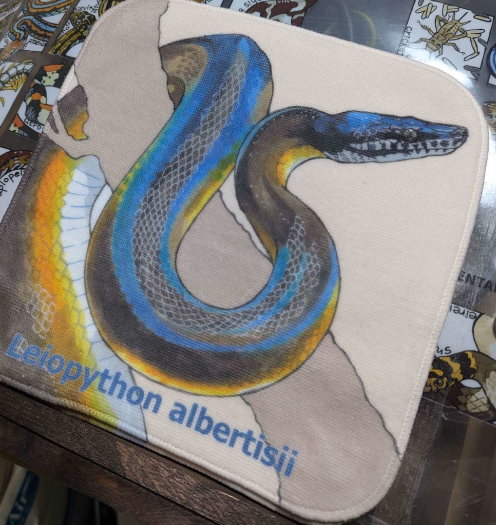 アルバーティスパイソンminiタオル