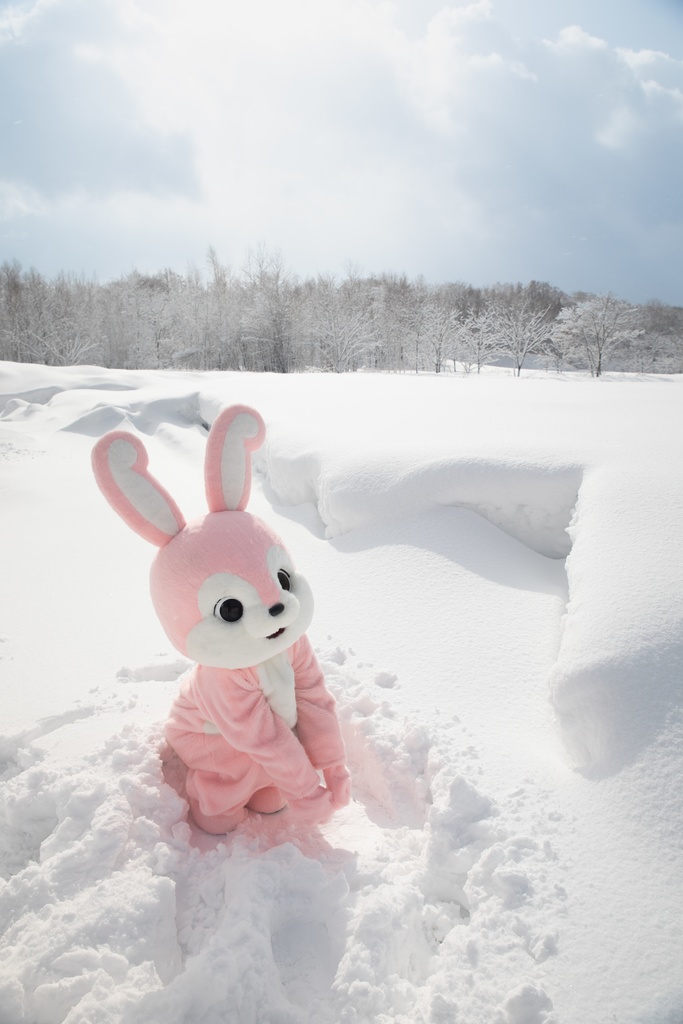 ☆値下げ☆【Emma】エマうさちゃん【着ぐるみ】