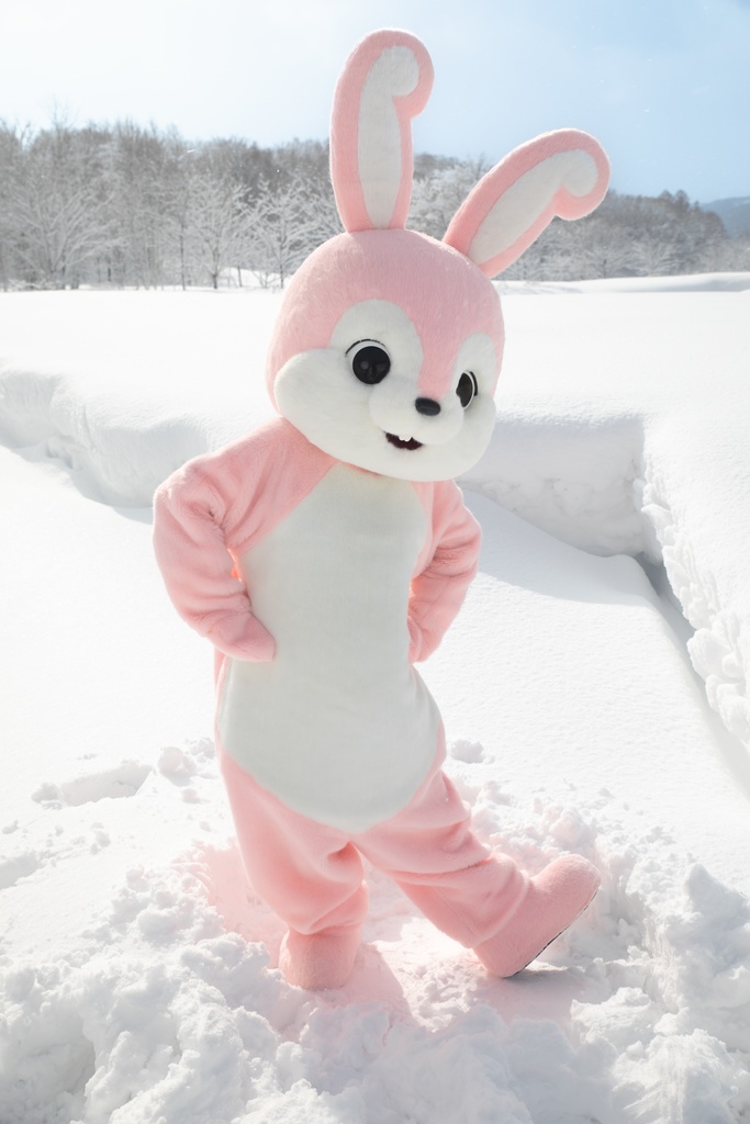 ☆値下げ☆【Emma】エマうさちゃん【着ぐるみ】